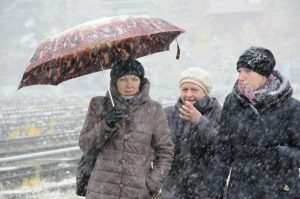 Глобальное потепление: что выиграет Россия от климатических изменений и какова будет цена за это