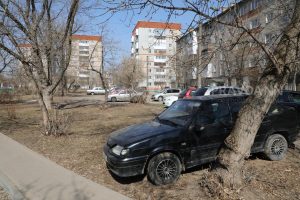 «Какой же это газон»: разбираемся, где парковаться у дома, чтобы не получить штраф