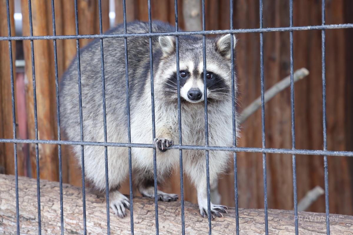 Фото: Александр Воложанин