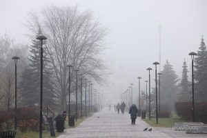 До сих пор грибы собирают: ждать ли нижегородцам холодной зимы