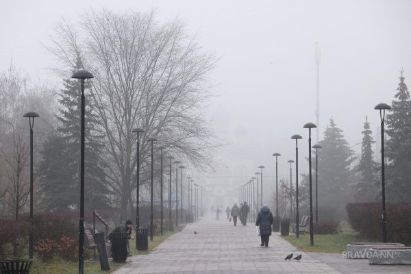 До сих пор грибы собирают: ждать ли нижегородцам холодной зимы