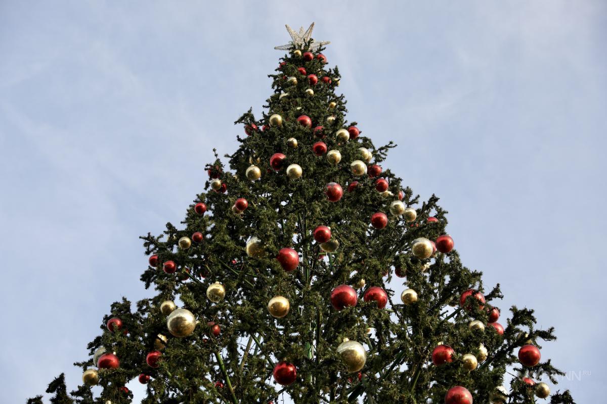 Опубликован график работы соцобъектов в Нижнем Новгороде в Новый&nbsp;год