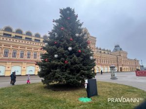 Алина Малинина