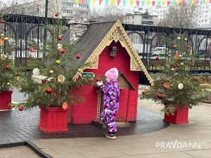 Алина Малинина