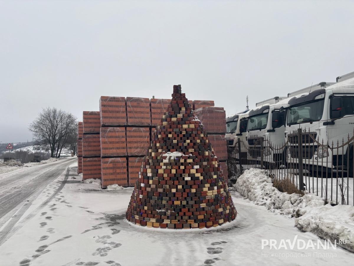 Фото: Анастасия Красушкина