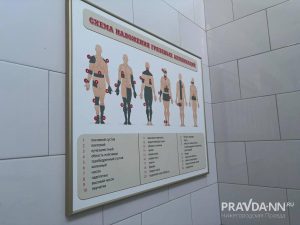 Анастасия Красушкина