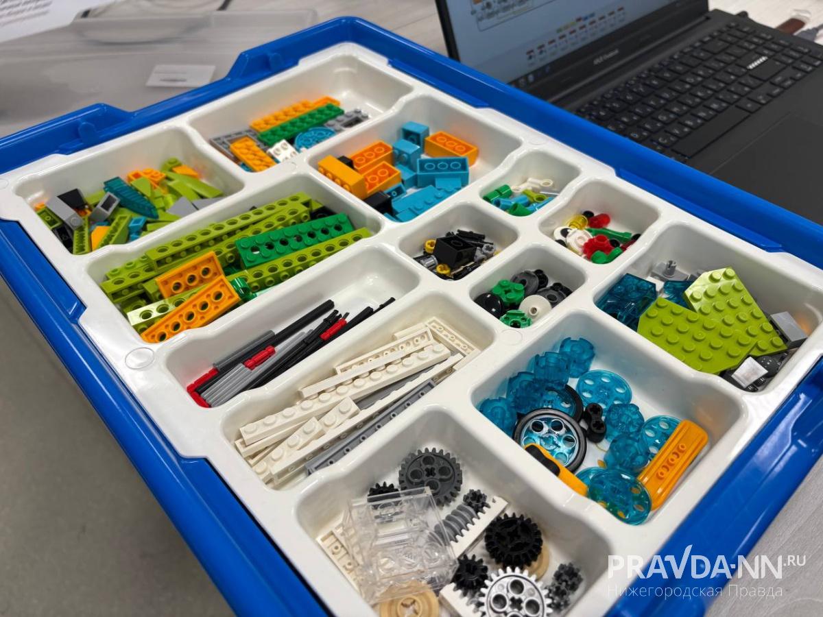 Анастасия Красушкина