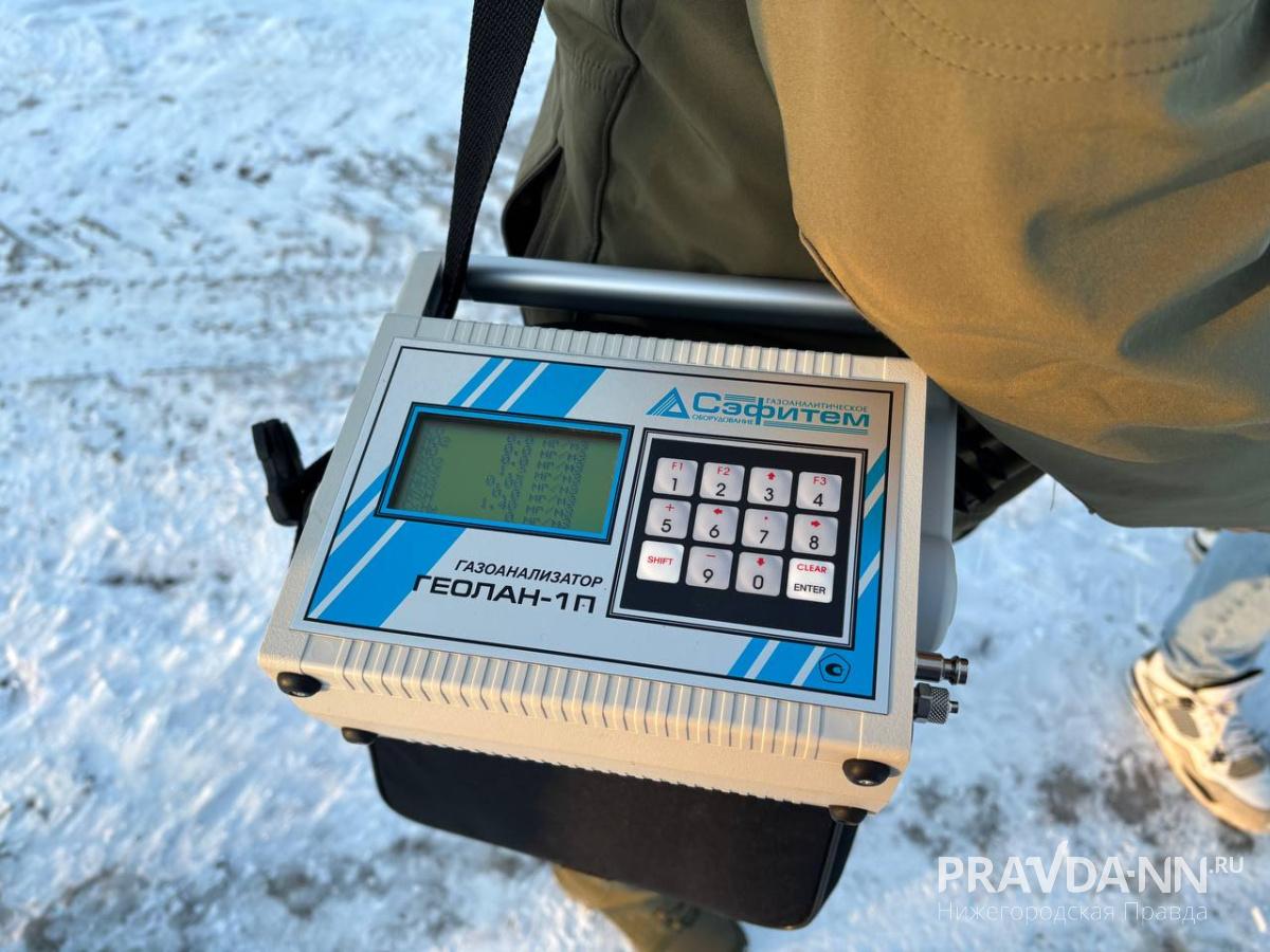 Фото: Анастасия Красушкина