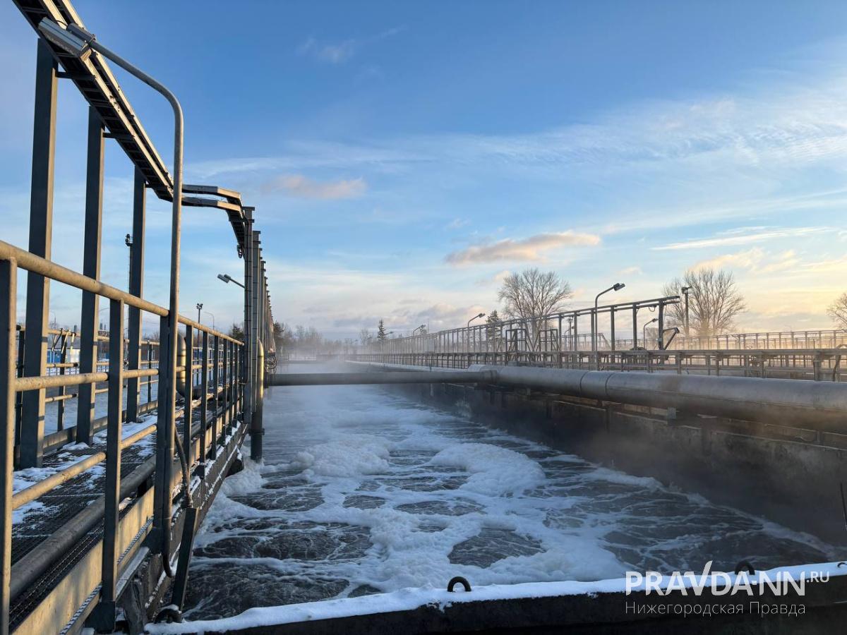 Анастасия Красушкина