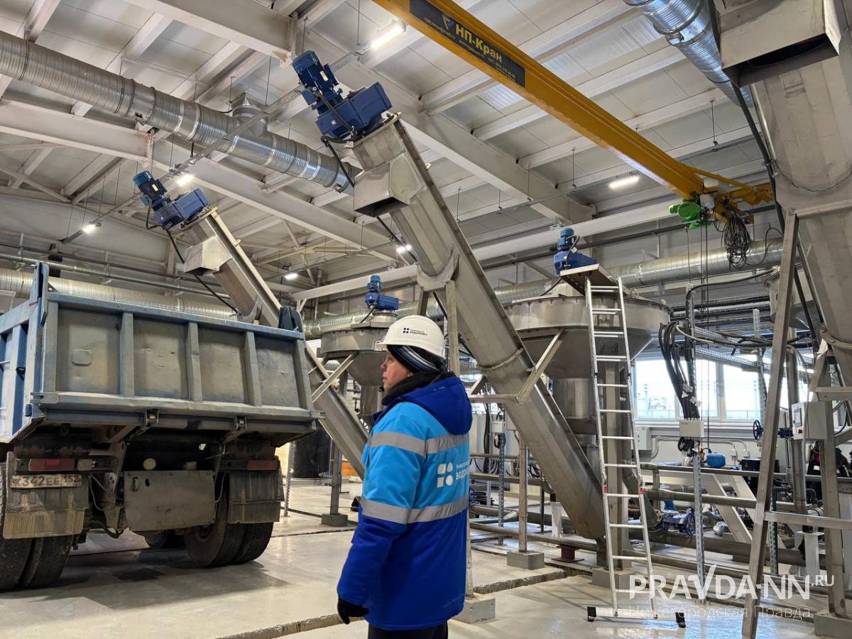 Фото: Анастасия Красушкина