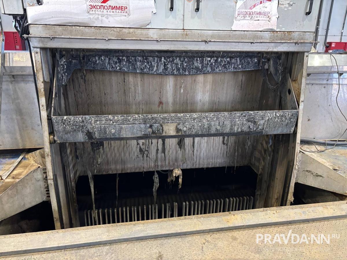 Анастасия Красушкина