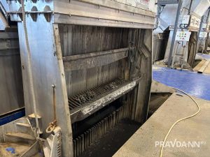 Анастасия Красушкина