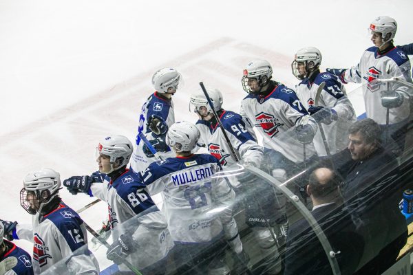 В МХЛ «Чайка» в овертайме одолела «Кузнецких Медведей»