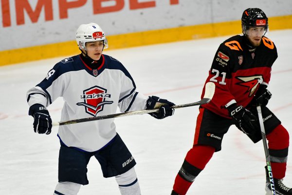 «Чайка» в повторном матче снова уступила «Омским Ястребам»
