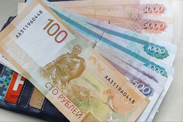 В Госдуме предложили ввести 13‑ю зарплату для медиков и педагогов