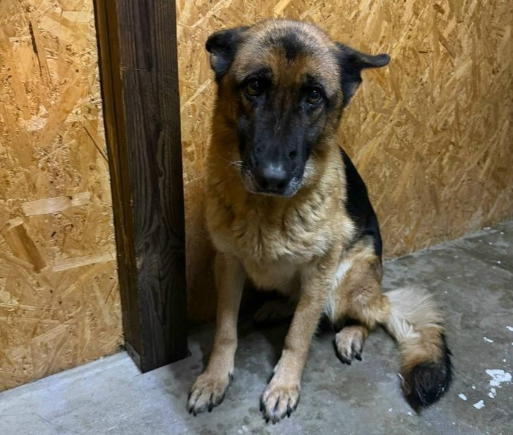 Фото: Пресс-служба ГУФСИН России по Нижегородской области