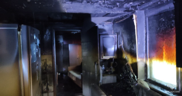 48-летний нижегородец сгорел в пожаре на&nbsp;Бору