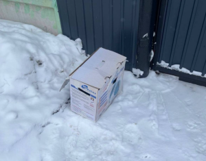 Очередного котика в коробке подкинули к дверям приюта «Сострадание»