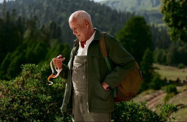 «Бомба замедленного действия»: за что Дмитрий Певцов назвал Чебурашку диверсантом&nbsp;