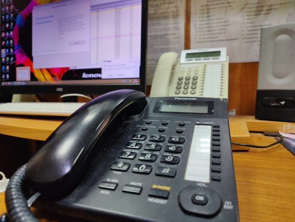 В 2025 году в диспетчерскую службу лесного хозяйства поступило 176 обращений