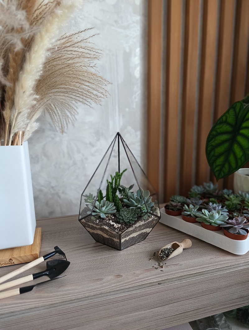 Разместить такую оранжерею нужно там, где много света