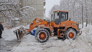 ГЖИ Нижегородской области выявила 1100 нарушений уборки во дворах