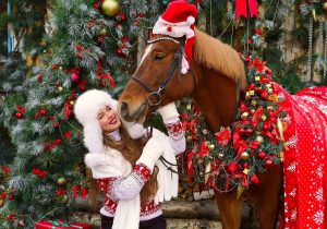 «Подходить к лошади можно только сбоку»: наездница Мария Грязнова поделилась правилами общения с животными