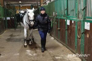 Александр Воложанин