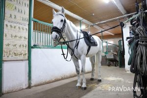 Александр Воложанин