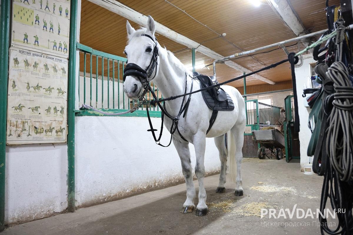 Александр Воложанин