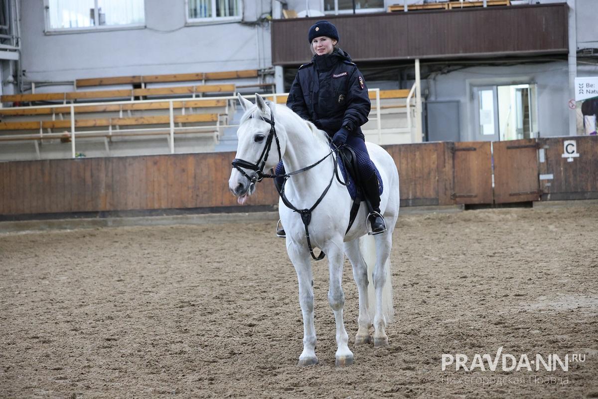 Александр Воложанин