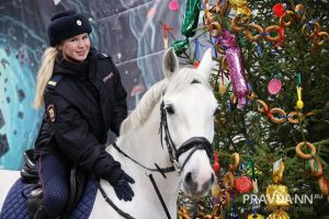 Служат верой и правдой: как лошади помогают нижегородским полицейским охранять порядок