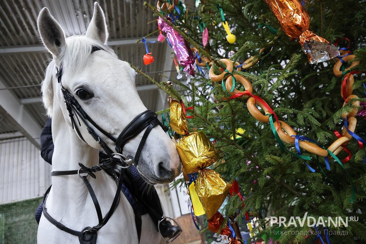 Александр Воложанин
