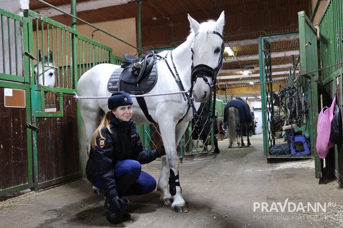 Александр Воложанин