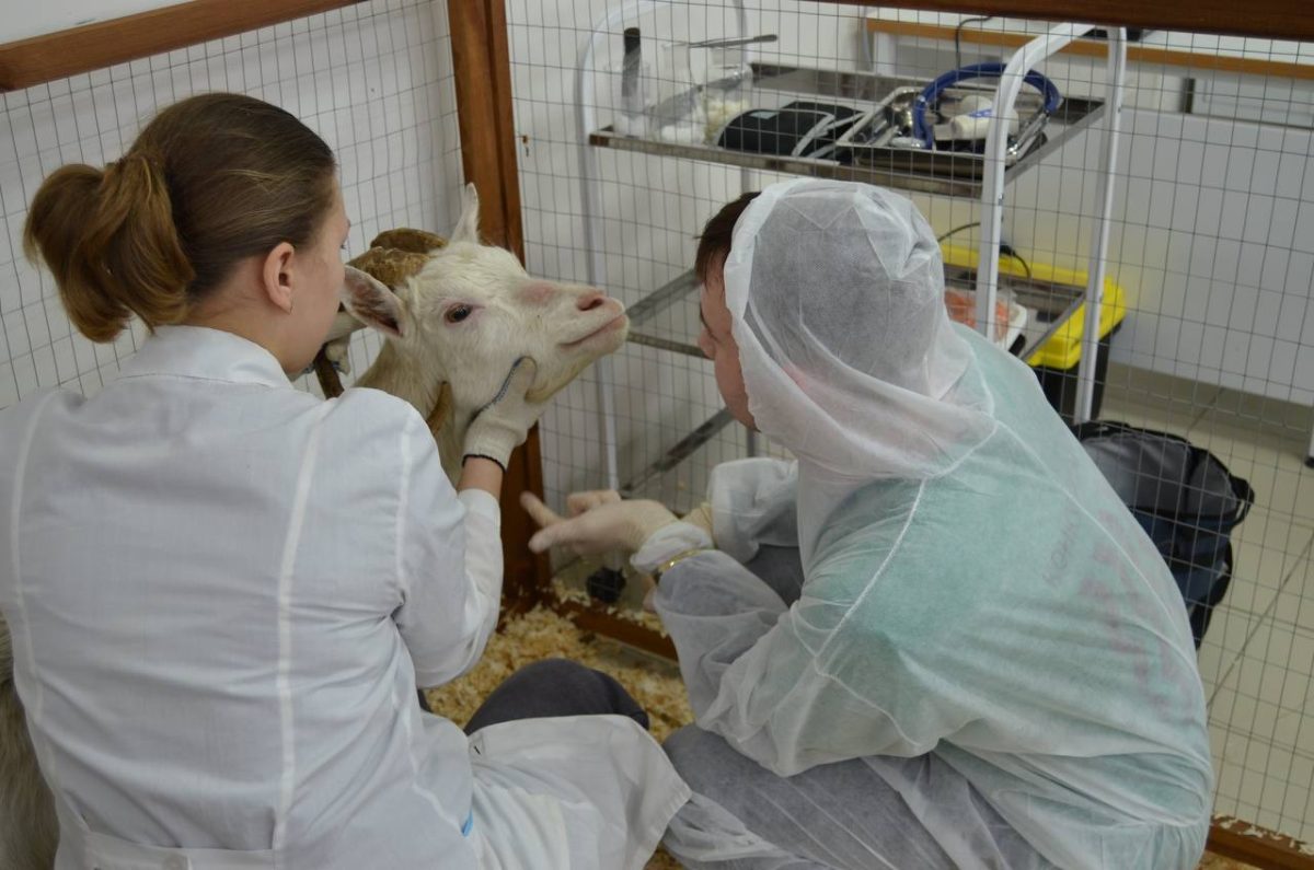 Тридцать работников АПК Нижегородской области получили по 2 млн&nbsp;руб.