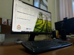 В 2025 году через систему «Цифровой лес» оказали более 14 000&nbsp;услуг