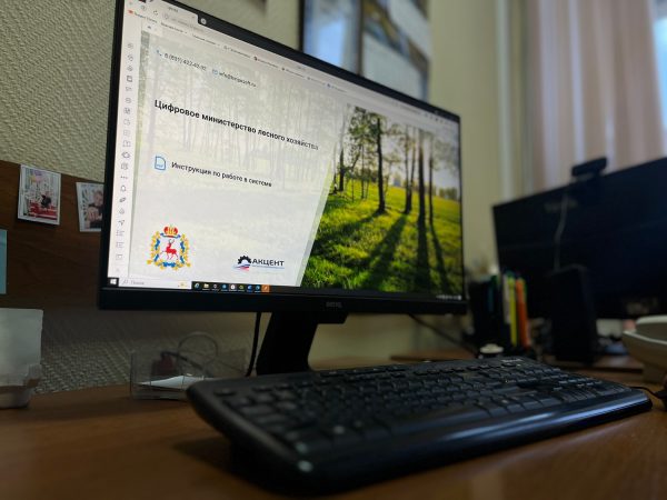 В 2025 году через систему «Цифровой лес» оказали более 14 000&nbsp;услуг