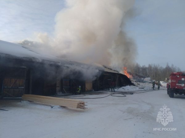 Пилорама сгорела на предприятии в Тонкинском округе