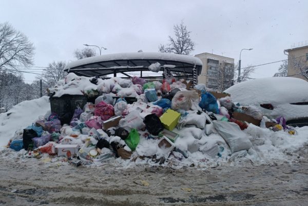 Жители Нижнего Новгорода пожаловались на мусорный коллапс