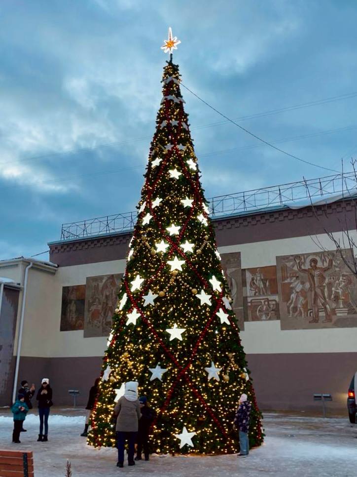 Нижегородцев приглашают проголосовать за елки во всероссийском конкурсе