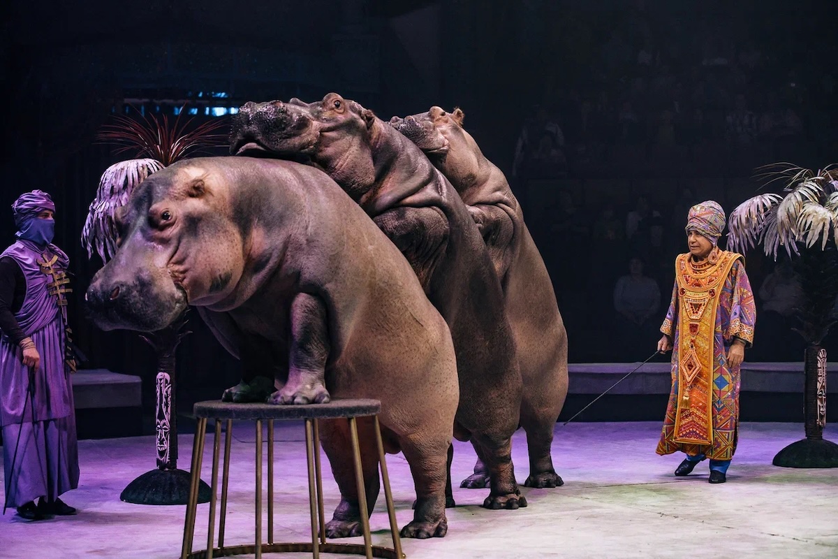 Фотоархив шоу продюсерского центра Гии Эрадзе «Песчаная сказка»