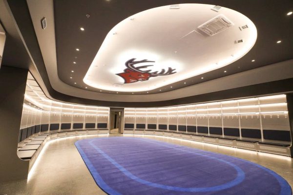 Чистовая отделка Ледового дворца на Стрелке готова на&nbsp;95%