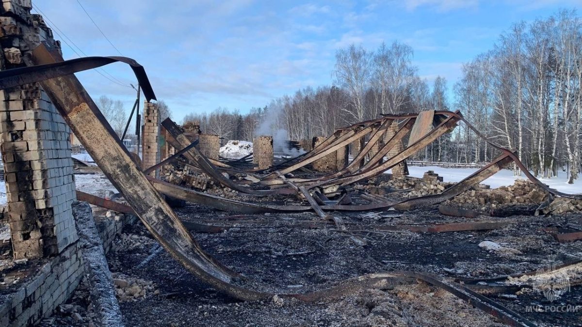 Спасатели ликвидировали крупный пожар на ферме в Городецком округе