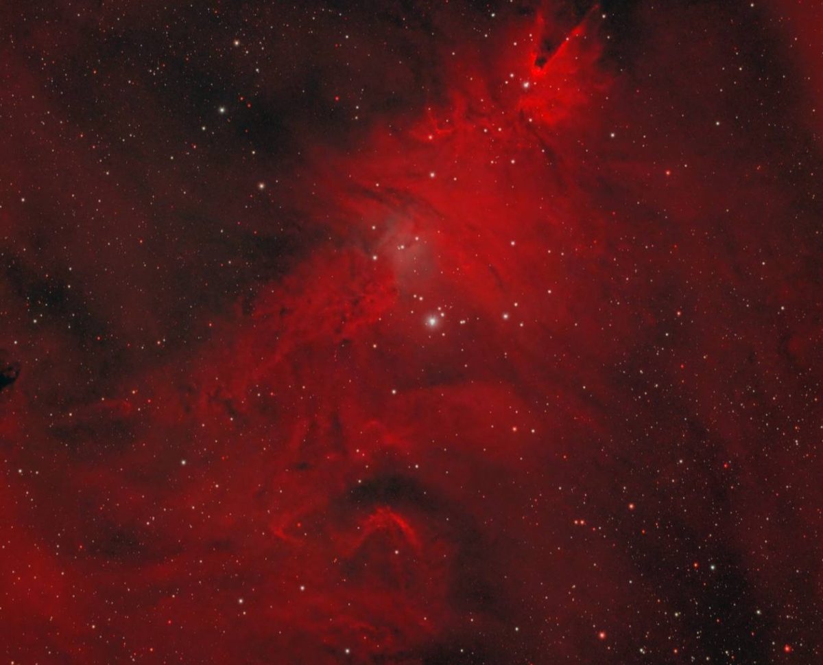 Роскосмос опубликовал снимок звезд, похожих на Рождественскую елку