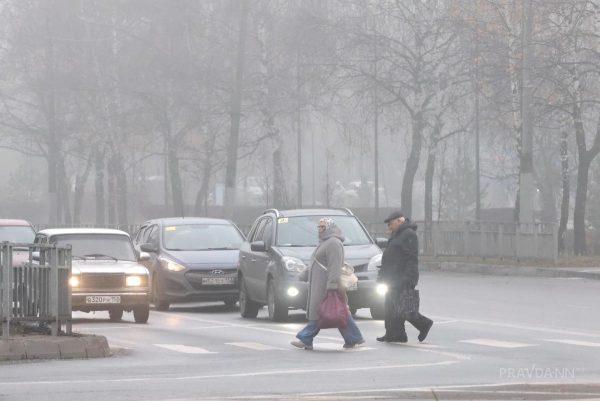 ГИБДД Нижегородской области предупредило водителей об опасности на дорогах