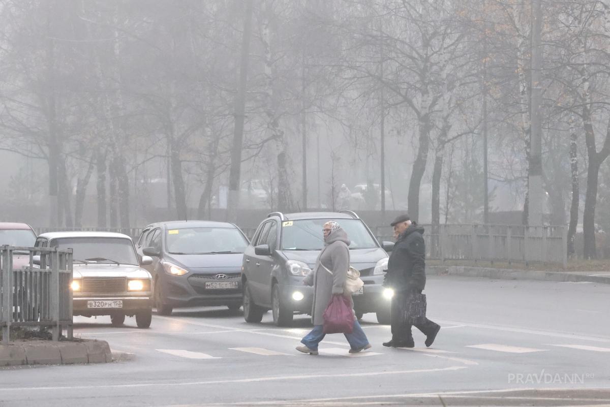 ГИБДД Нижегородской области предупредило водителей об опасности на дорогах