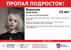 15-летняя девочка пропала без вести на&nbsp;Бору