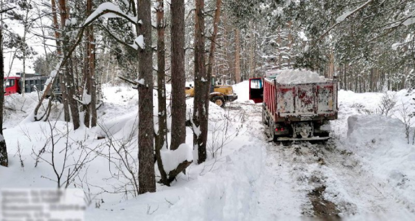 Два самосвала задержали при выгрузке грязного снега в лесу в Нижнем Новгороде