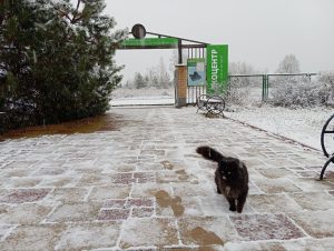 Керженский заповедник