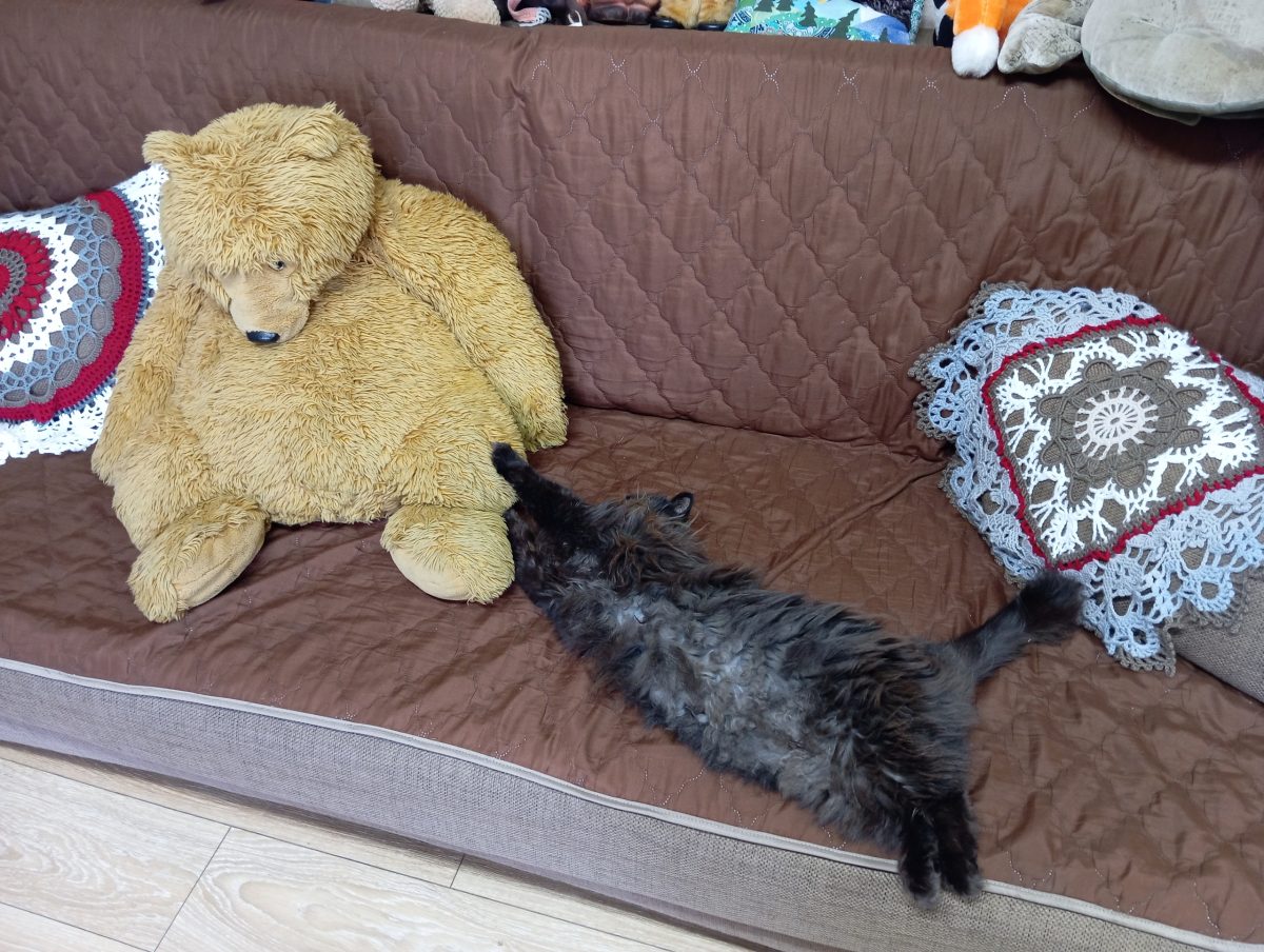 Керженский заповедник